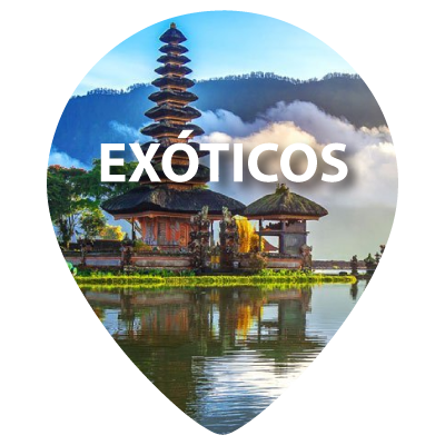 Exoticos