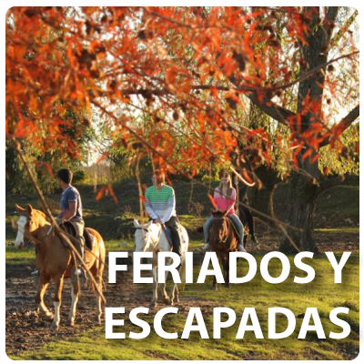 FERIADOS